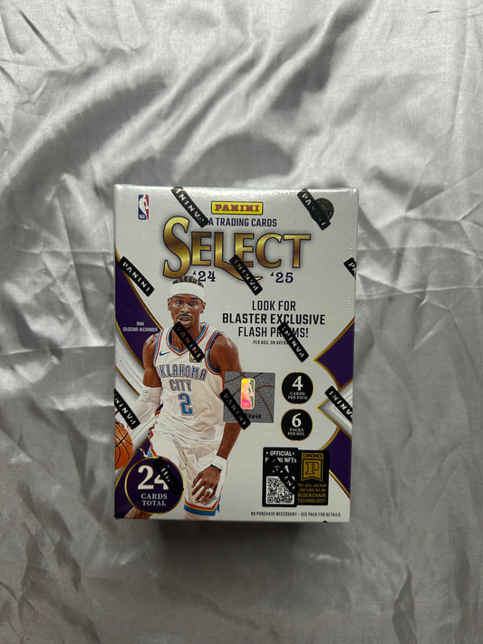 Panini Select Basketball 2024–25